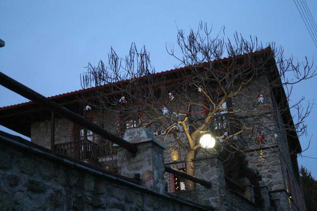 Varnous Hotel Agios Germanos Exterior foto